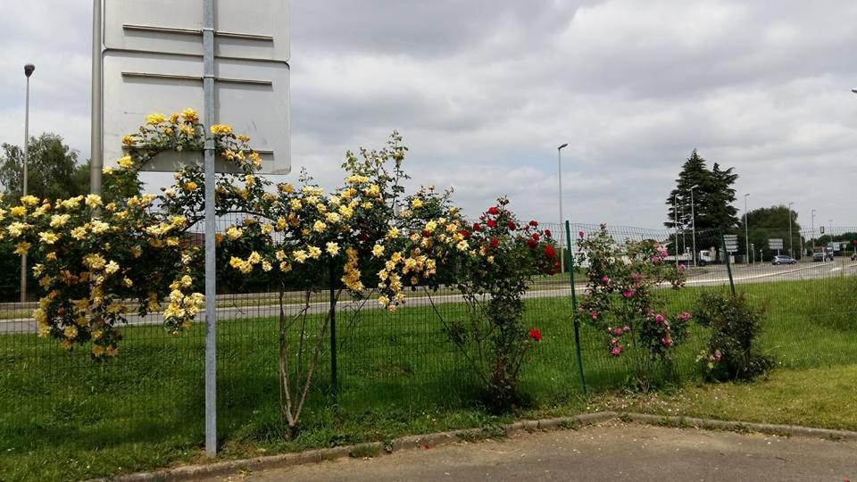 N&z * Trappes